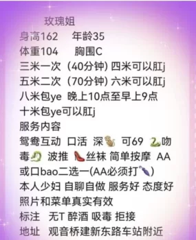 sm可双通少妇玫瑰